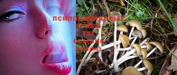 круглые Лагань