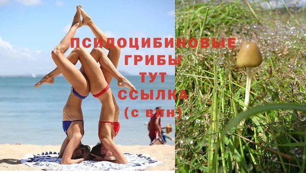 каннабис Ладушкин