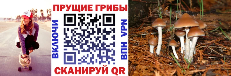 Галлюциногенные грибы Magic Shrooms купить сайты Гусиноозёрск